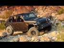 2021 Jeep Wrangler Rubicon 392 with JPP Driving Video
