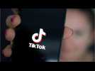 TikTok To Stay At Least After Election