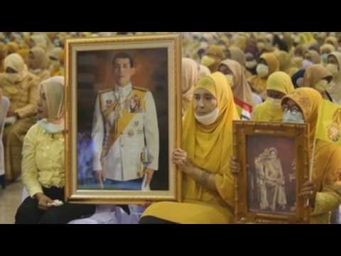 Thai muslims protest in favour of monarchy