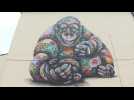 Artist raises awareness of endangered species with colourful murals