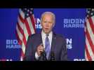 Biden vows action on 'day one' to halt spiraling Covid crisis