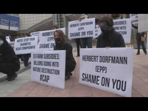 Protest outside European Parliament on CAP reform