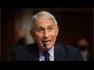 Fauci: ‘Whole Lot Of Pain’ From Pandemic Coming