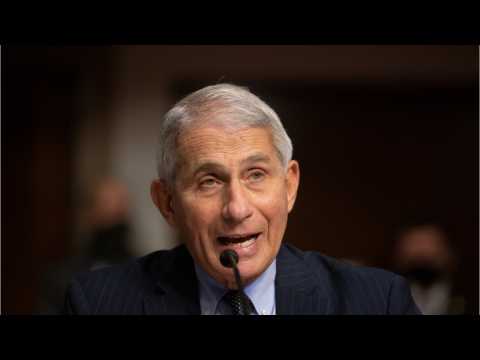 Fauci Says US Must Adhere To Strict Mask Use To Get Over Virus