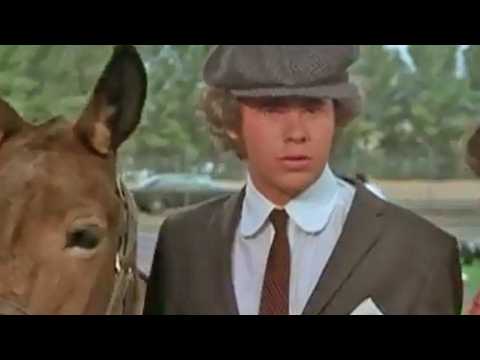 Gus - Bande annonce 1 - VO - (1976)