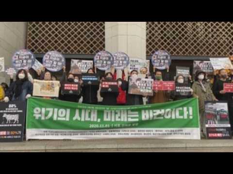 World Vegan Day marked in South Korea
