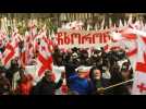 Tbilisi: Hundreds of protesters demand snap parliamentary polls