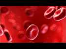 People With Type O Blood May Have Less Severe COVID- 19 Infection