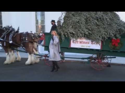 Melania Trump presents White House Christmas tree