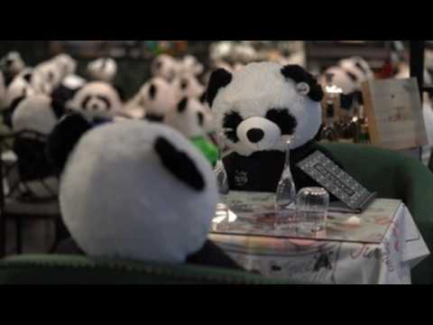 Stuffed pandas to stop restaurant from closing in Frankfurt