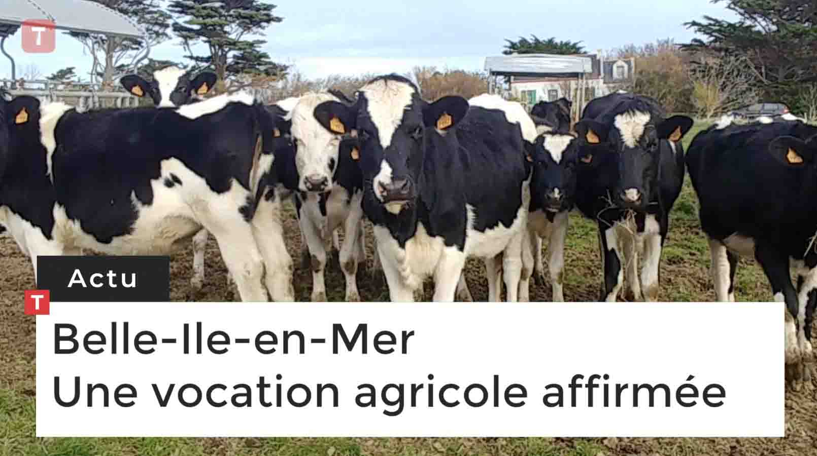 Belle-Ile-en-Mer. Une vocation agricole affirmée (Le Télégramme)