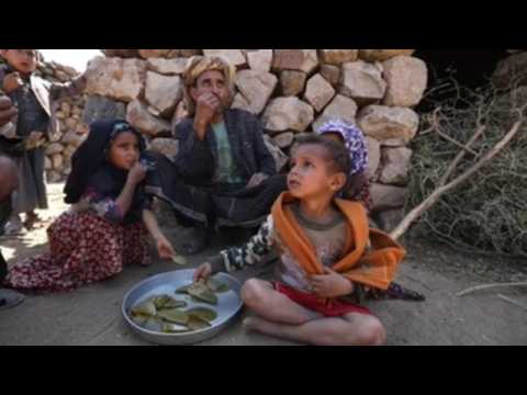 War forces Yemenis to eat vine leaves as famine looms