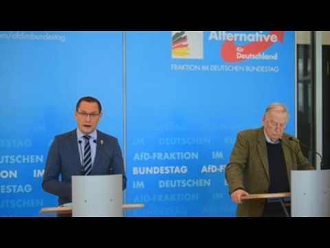Germany's far-right AfD placed under surveillance by interior ministry