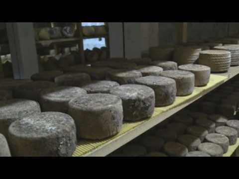 Spanish goat's cheese, the recipe of success in the Russian market