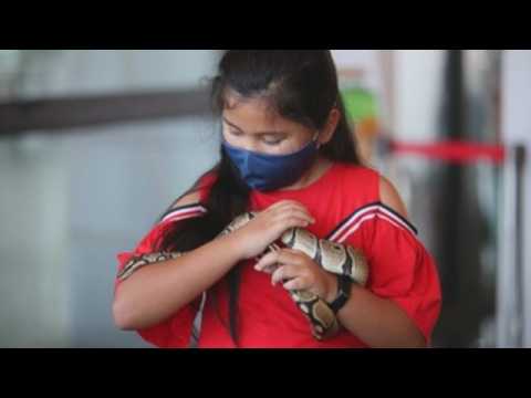 A cafe in Bangkok to enjoy the company of snakes