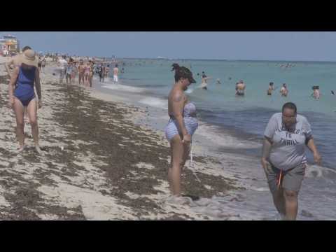 Miami Beach on high alert for "spring breakers"