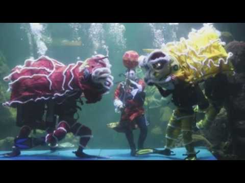 'Underwater lion dance' a Lunar New Year surprise for Jakarta aquarium visitors