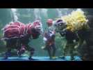'Underwater lion dance' a Lunar New Year surprise for Jakarta aquarium visitors