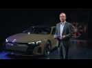 Audi e-tron GT experience - Interview Dr. Moni Islam, Head of Development Aerodynamics & Aeroacoustics