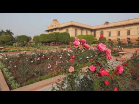 Indian presidential palace's garden set to open for public visit