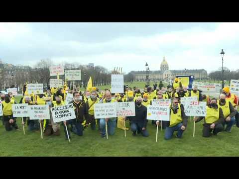 Farmers protest in Paris against agricultural 'distress'