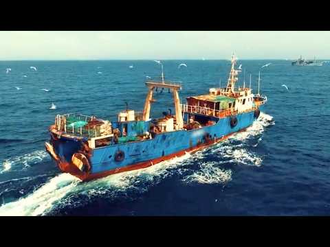 Seaspirary : La Pêche en Question - Bande annonce 1 - VO - (2021)