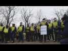French farmers protest against increasingly difficult working conditions
