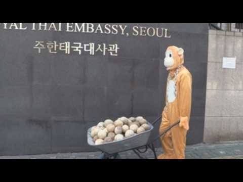 PETA protests in Seoul against monkey abuse claims on Thai coconut farms