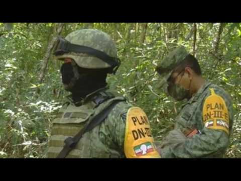 First cocaine plantation and laboratory in the state of Guerrero is destroyed