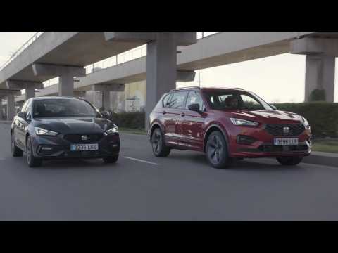 SEAT’s hybrids together for the first time