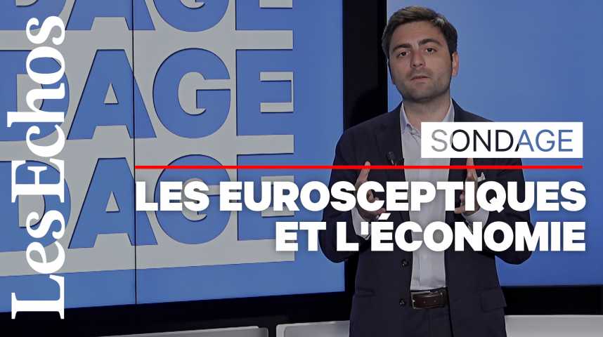 Illustration pour la vidéo Européennes : les Français plutôt inquiets des conséquences économiques d’une victoire des populistes