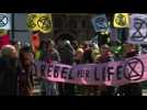 Climate change activists block Waterloo Bridge