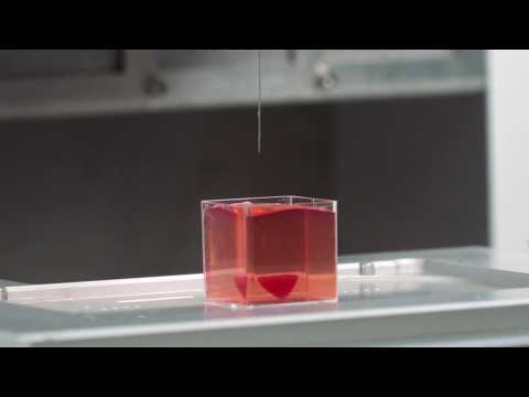 Scientists in Israel unveil first 3D print of heart with human tissue