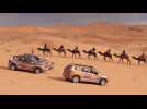 Armed forces charity complete Saharan rally in Dacia Dusters