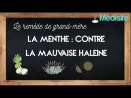 Mauvaise Haleine On Dit Stop