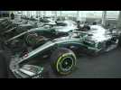 Classic Insight - 125 Years of Mercedes-Benz Motorsport