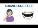 Comment soigner une dent cari&eacute;e ? - Label : aufeminin - Category : Animaux