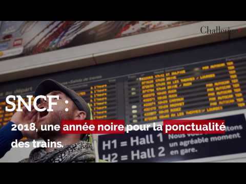 SNCF: un rapport épingle les retards des trains en 2018