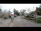 Fallen trees cover streets of Mozambique's Macomia after cyclone