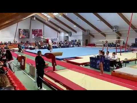 Gymnastique : championnat départemental à Sarreguemines