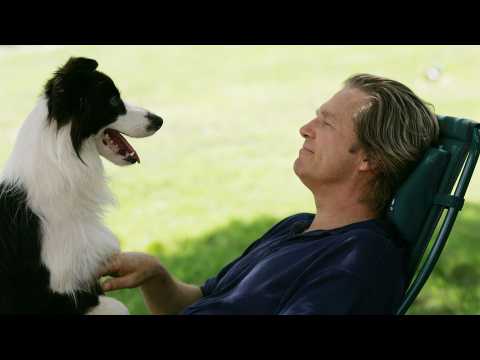 A Dog Year - Bande annonce 1 - VO - (2009)