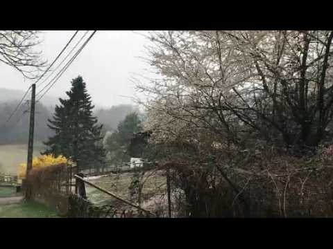 Il neige au Pays de Bitche
