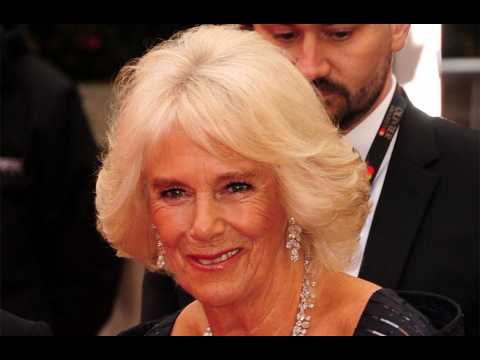 Duchess Camilla's support for domestic abuse victims