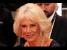 Duchess Camilla's support for domestic abuse victims