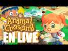 Vido On s'envole dcouvrir l'le d'Animal Crossing New Horizons