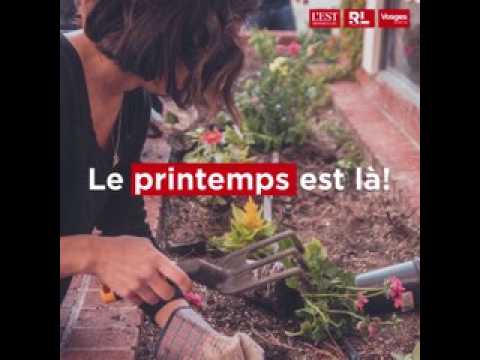 Comment bien préparer votre jardin en ce mois d'avril