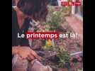 Comment bien préparer votre jardin en ce mois d'avril