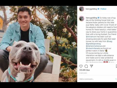 Henry Golding fosters dog