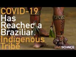 COVID-19 Has Reached a Brazilian Indigenous Tribe