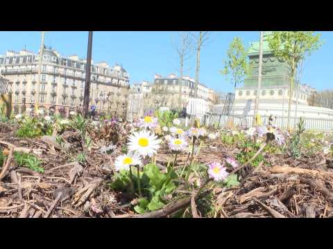 Coronavirus: Paris's Place de la Bastille bathed in sun on 20th day of confinement